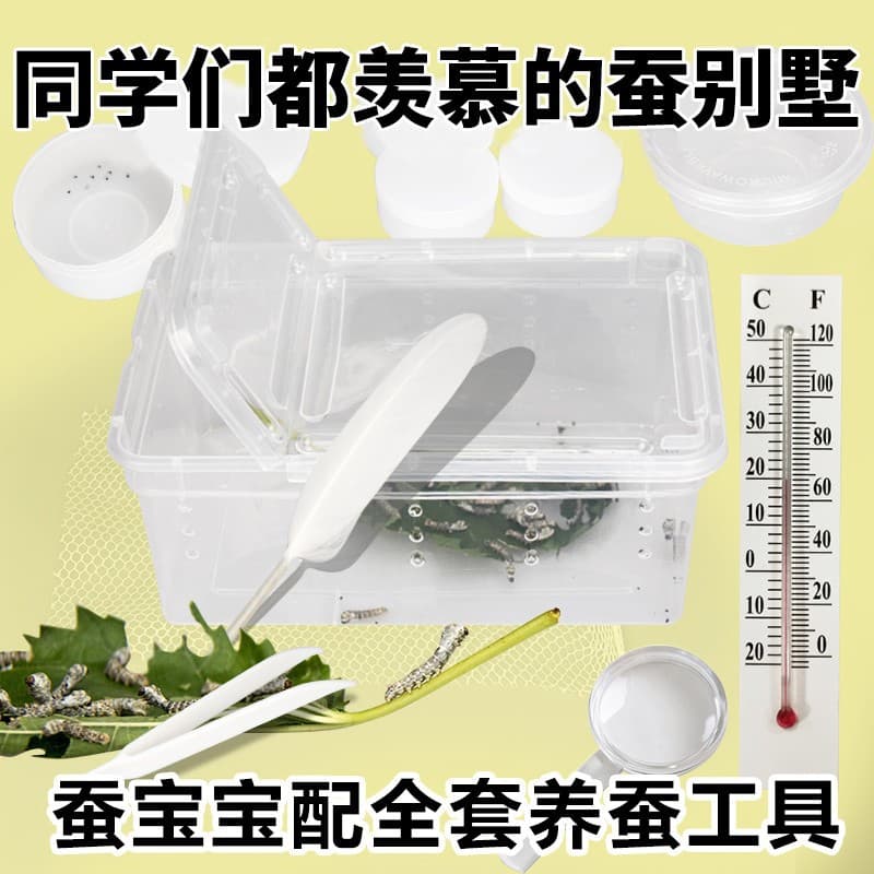 Silkworm Rearing Complete Set for Students Incubation Box Thermometer Goose Feather Silkworm Eggs Breeding Box Silkworm Net Wholesale