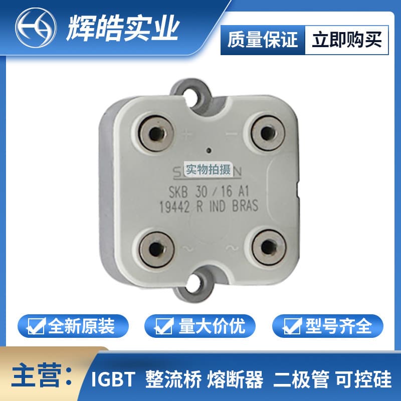 Skb30-16A1 Skb30-12A1 High-Power Thyristor Rectifier Bridge Electronic Components Huihao Industrial