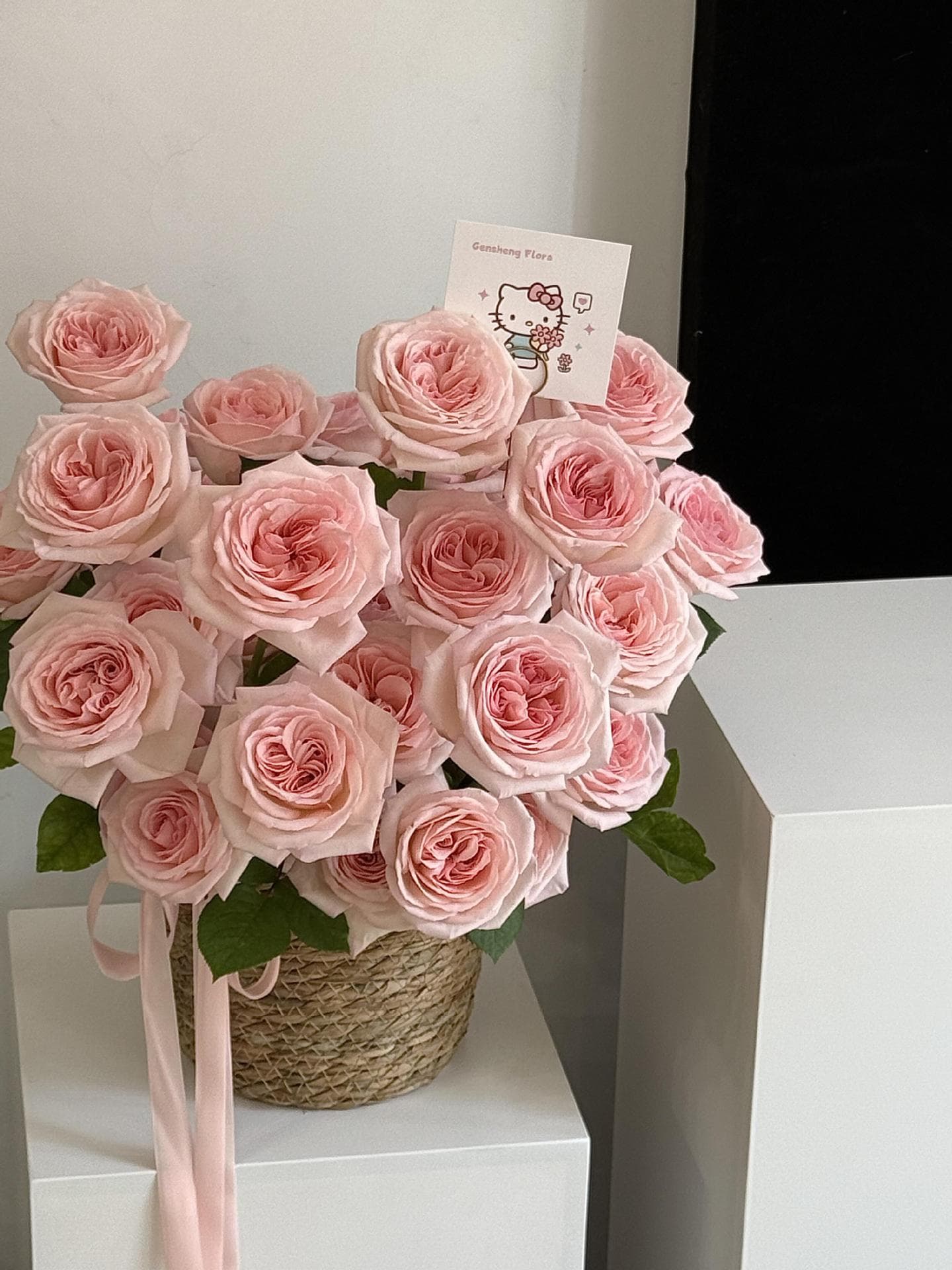Fresh Roses Direct from Kunming Flower Base for Teacher's Day and Women's Day Gifts Wholesale Bulk Order Yunnan Direct Shipping