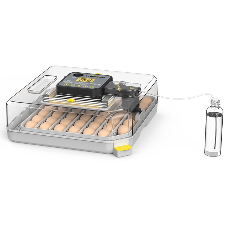 Automatic Pet Home Small Egg Incubator Smart Breeding Device for Parrots and Quail