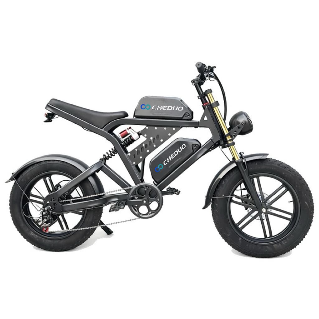 Electric Bike Beach Snow Off-Road Adult Mountain E-Bike for Export with Long Range