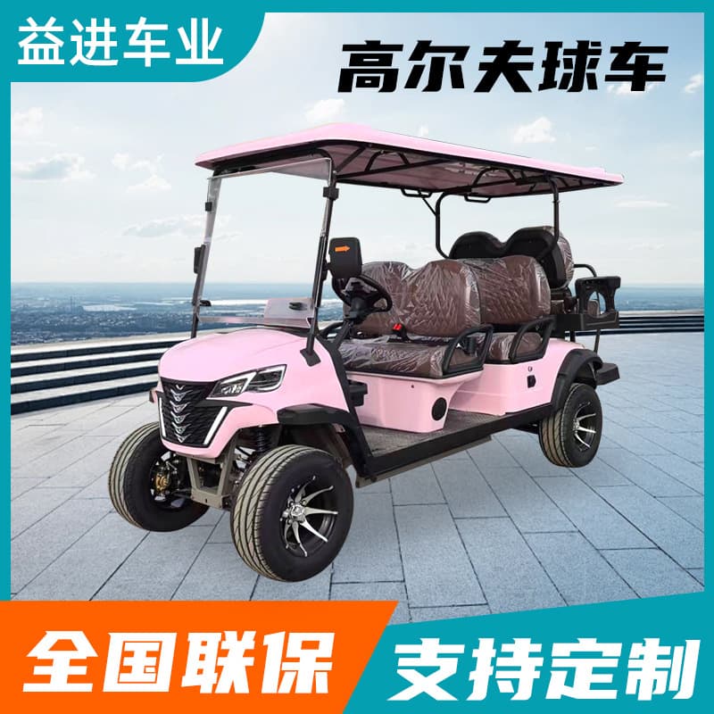 Electric Golf Cart for Scenic Spots, Hotels, Homestays, and Off-Road Use - 2-Seat Electric Golf Cart