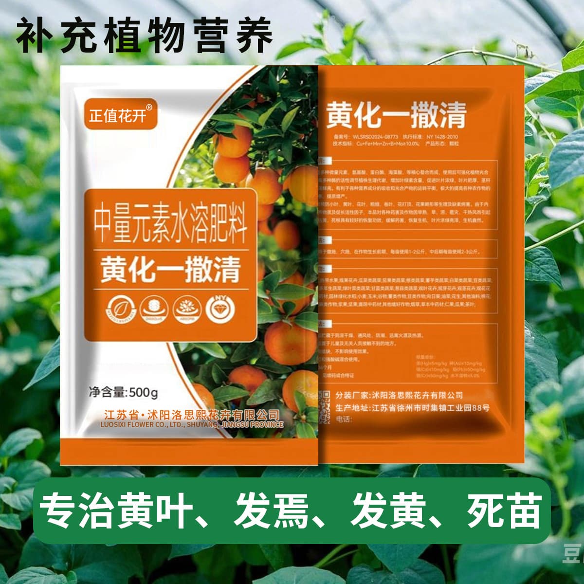 Yellowing a Sprinkle Clear Fruit Tree, Yellow Flower Withdrawal Special Medicine Withdrawal Trace Element Water Soluble Fertilizer to Improve Leaf Yellowing to Green Spirit