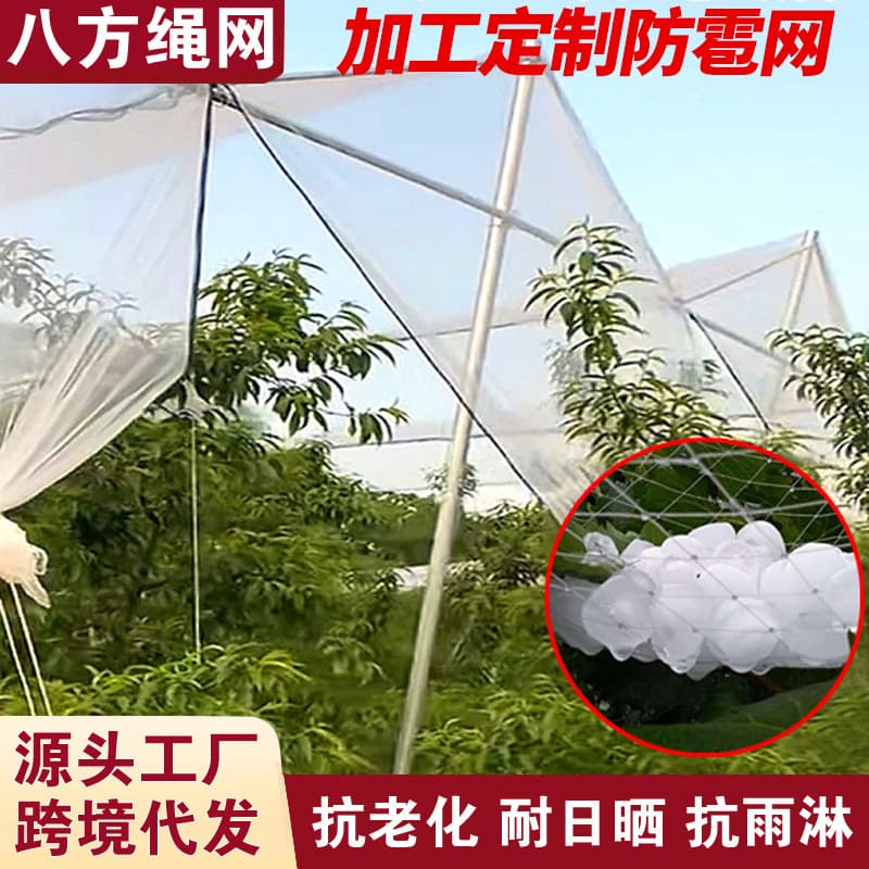 Custom Processing Hail and Bird Nets for Apple and Vineyards, New Material Anti-Oxidant Mesh, Farm Hail Protection