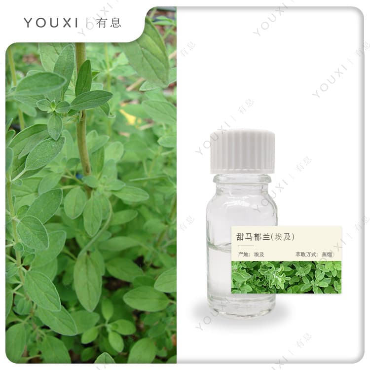 Sweet Marjoram Essential Oil, Egyptian Import Marjoram Sweet Marjoram Essential Oil