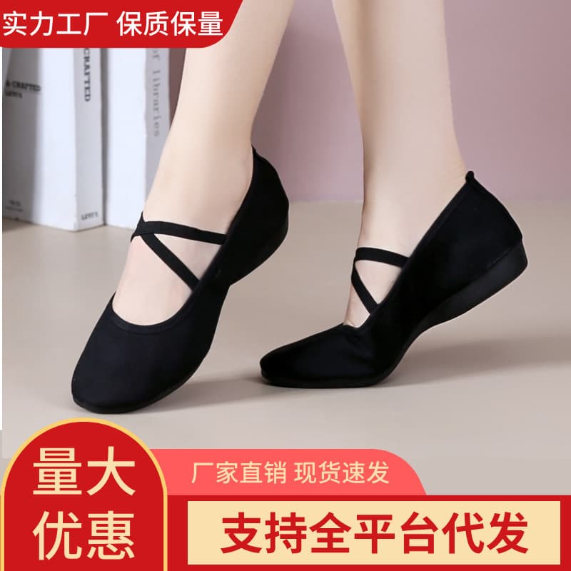 Soft-soled new spring and summer canvas breathable dance shoes soft-soled modern women's mid-heeled square dance shoes social dance shoes