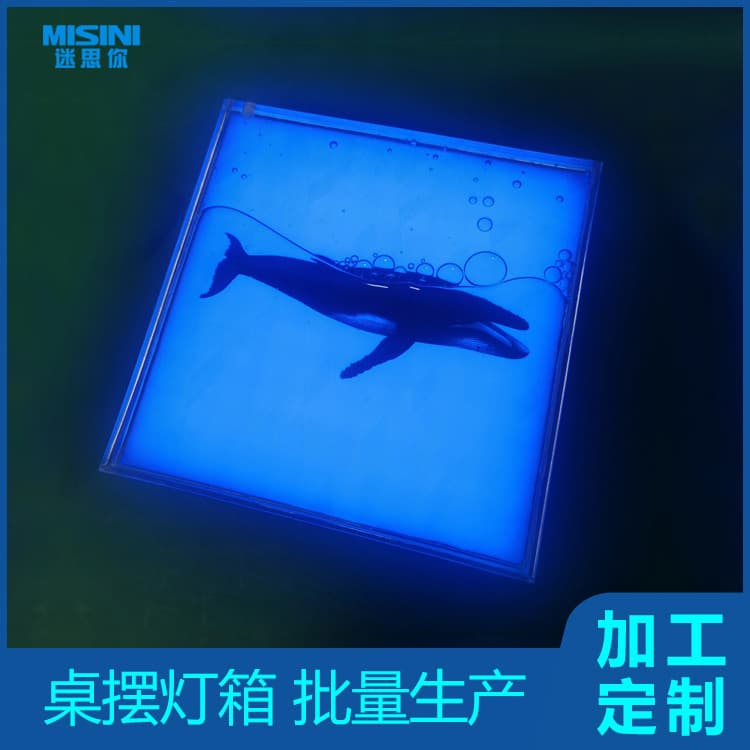 Bulk Production: CD Case Packaging with Light Box, Glowing Water Tank, and Star Album Gift Box Packaging