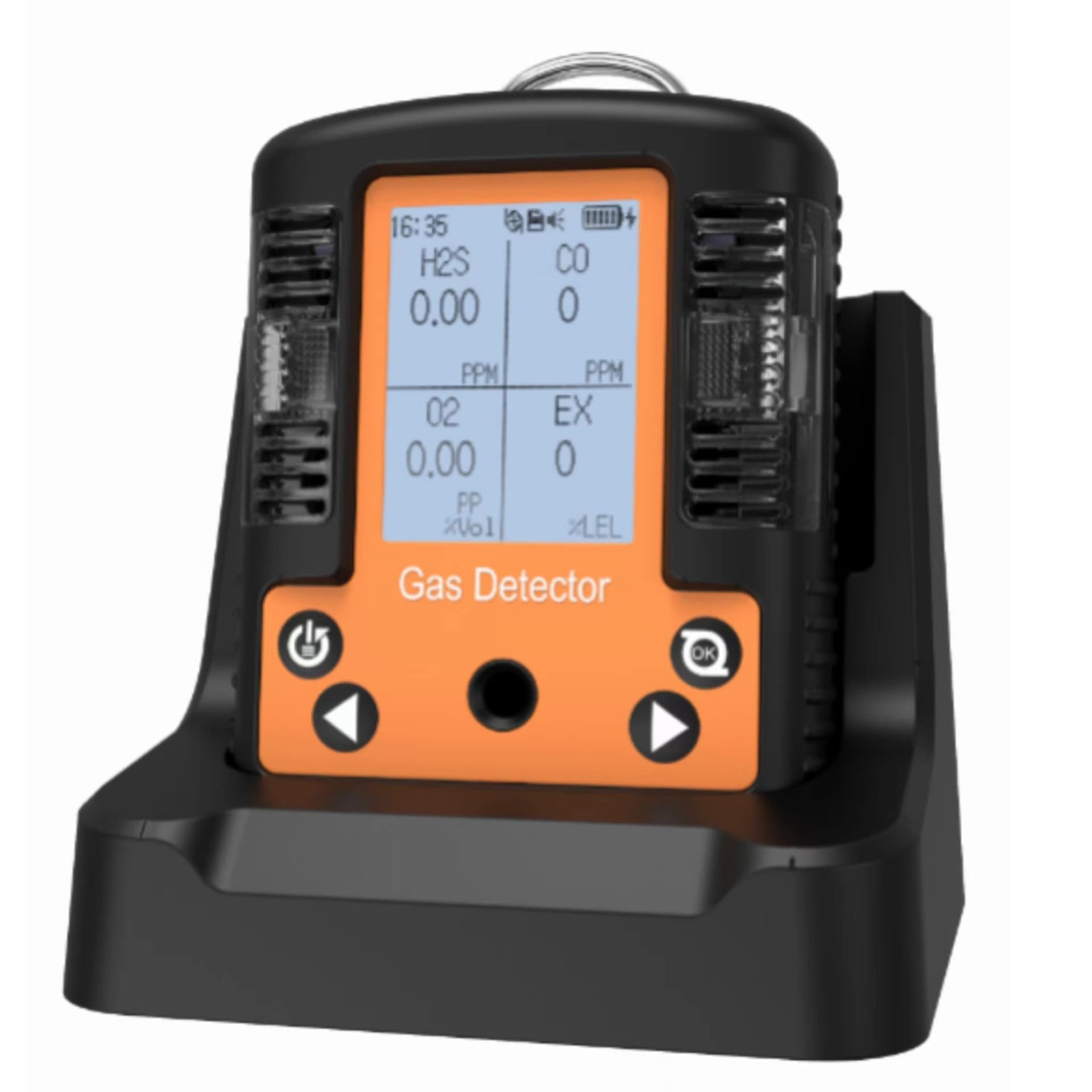 Portable Hydrogen Sulfide Alarm High-Tech Pump Suction Gas Detector NGP40-104KM-H2S