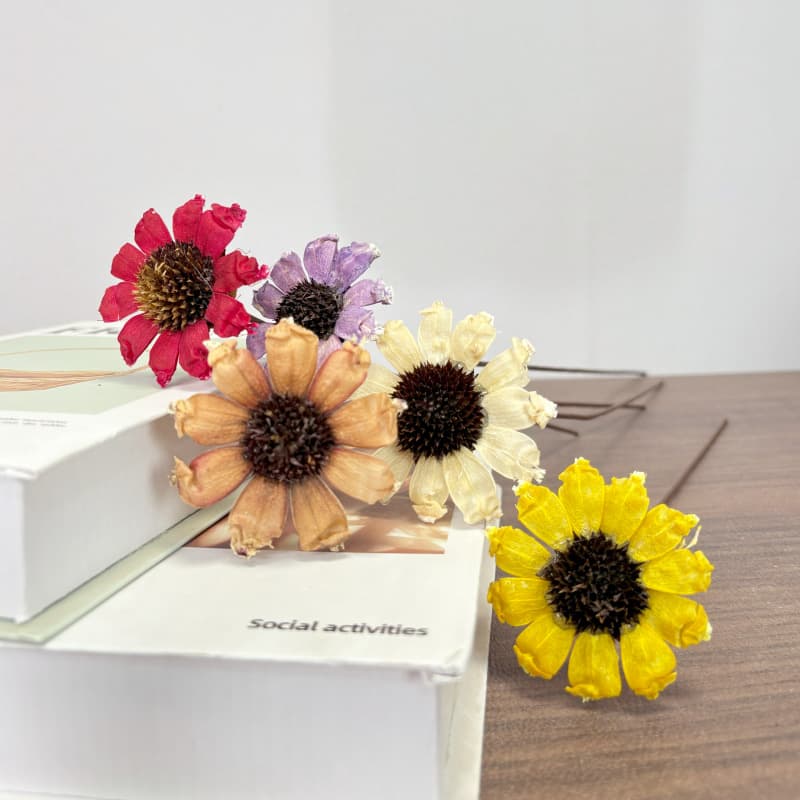 Dried Flower Asan Flower New Daisy Soft Flower Art Simulation Flower Shooting Props Home Tea House Decoration