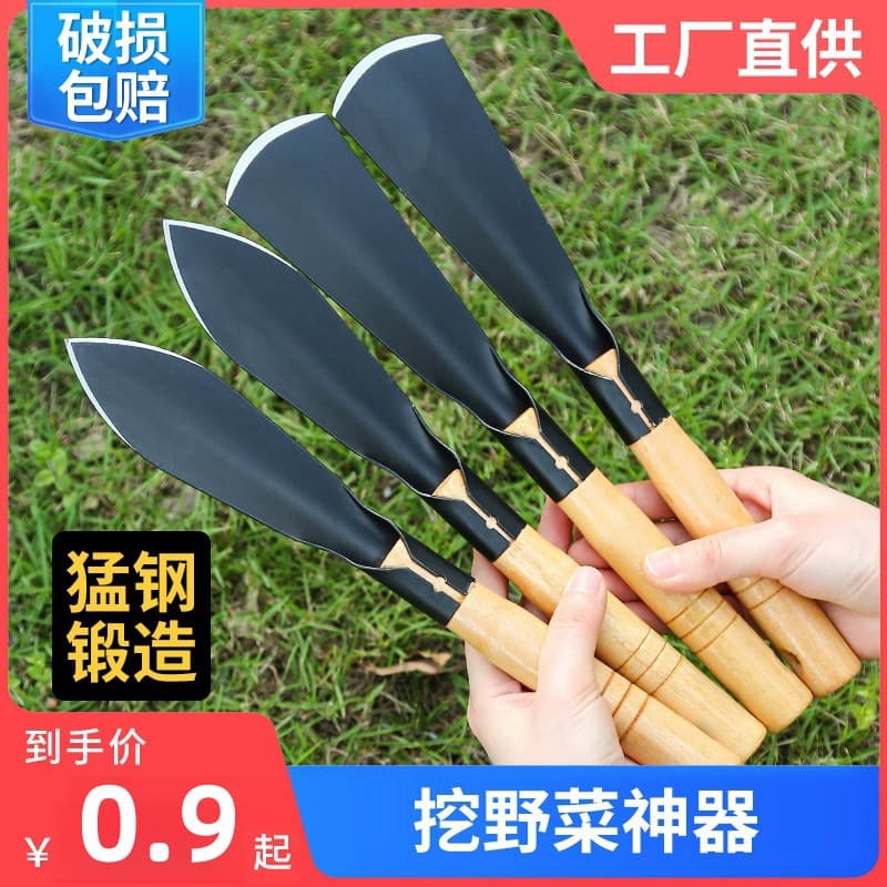 Garden Pointed Flat Shovel for Digging Wild Vegetables, Garlic Planting Shovel, Flower Growing Tool, Beach Combing, Agricultural Vegetable Planting, Succulent Shovel