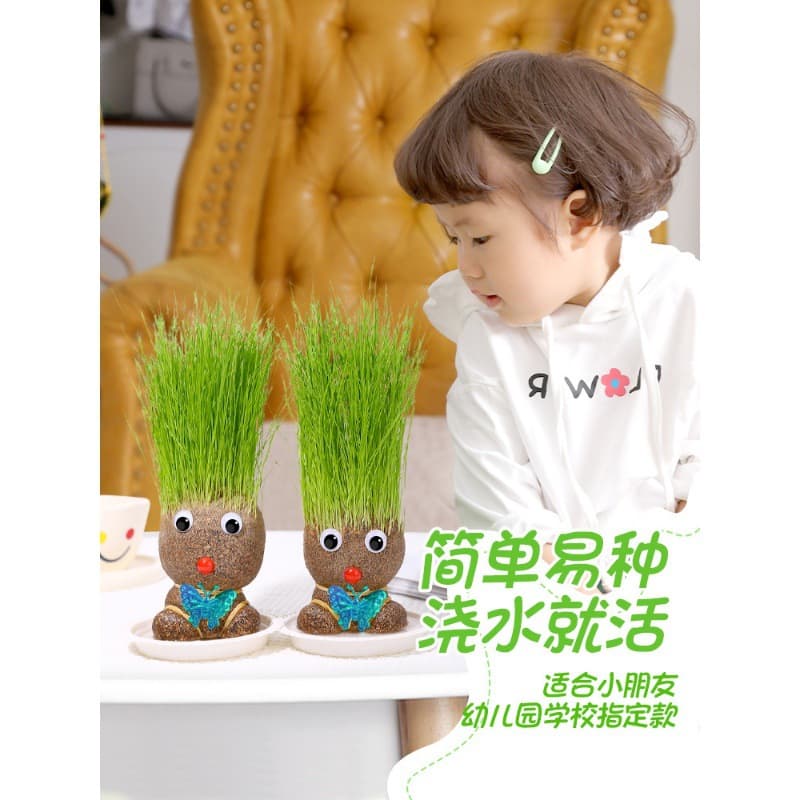 With grass growing on the head, dolls with grass heads blooming, children plant small potted plants to grow grass and green plants to observe plant growth in kindergarten.