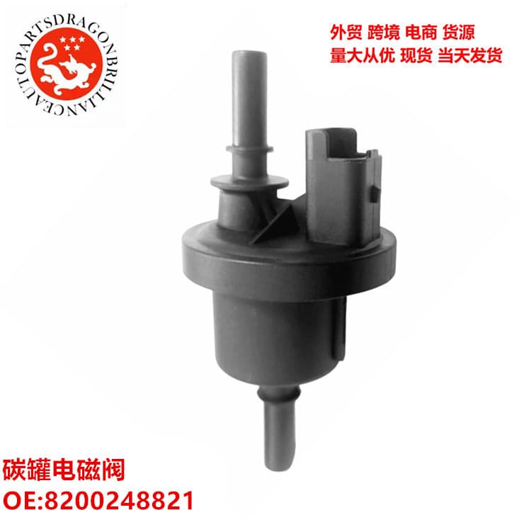 Auto Parts Store Vacuum Canister Solenoid 8200248821 269516045 6001543631