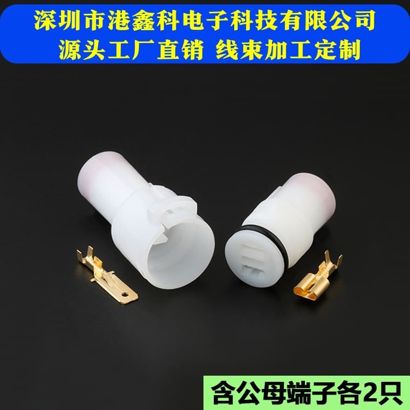 Domestic 6180-2541 6189-0274 Automotive High Power 2P Male and Female Housing DJ7021F-6.3-11/21