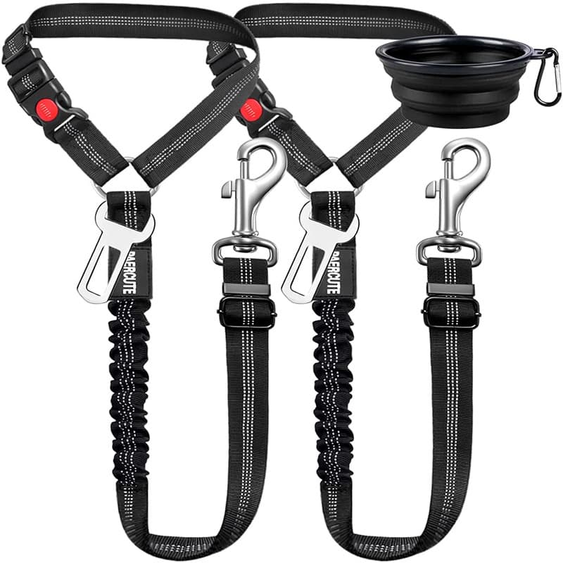 Dog Pulling Leash For Training Walking Comfortable Padded Handle Durable Nylon Material Available In Multiple Colors