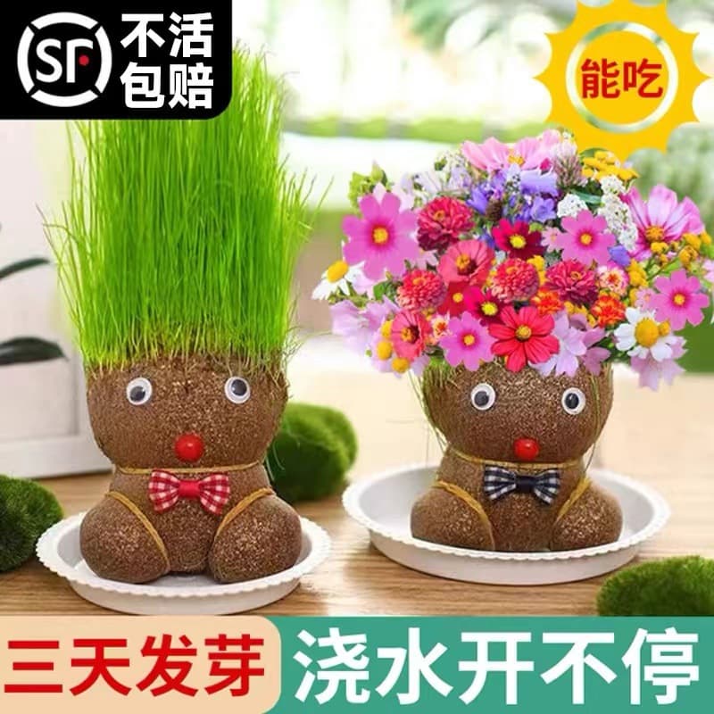 Grass Head Doll Growing Grass on Head Blooming Doll Children Watering Grass Head Kindergarten Planting Small Potted Plant