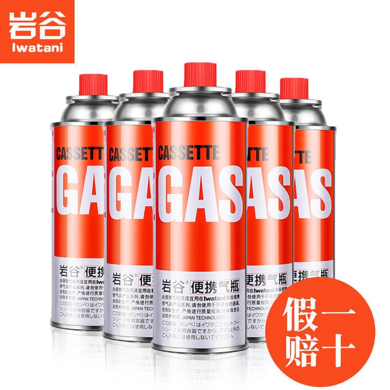 Iwatani Gas Cartridge Explosion-Proof Liquefied Gas Canister Portable Gas Bottle 250g