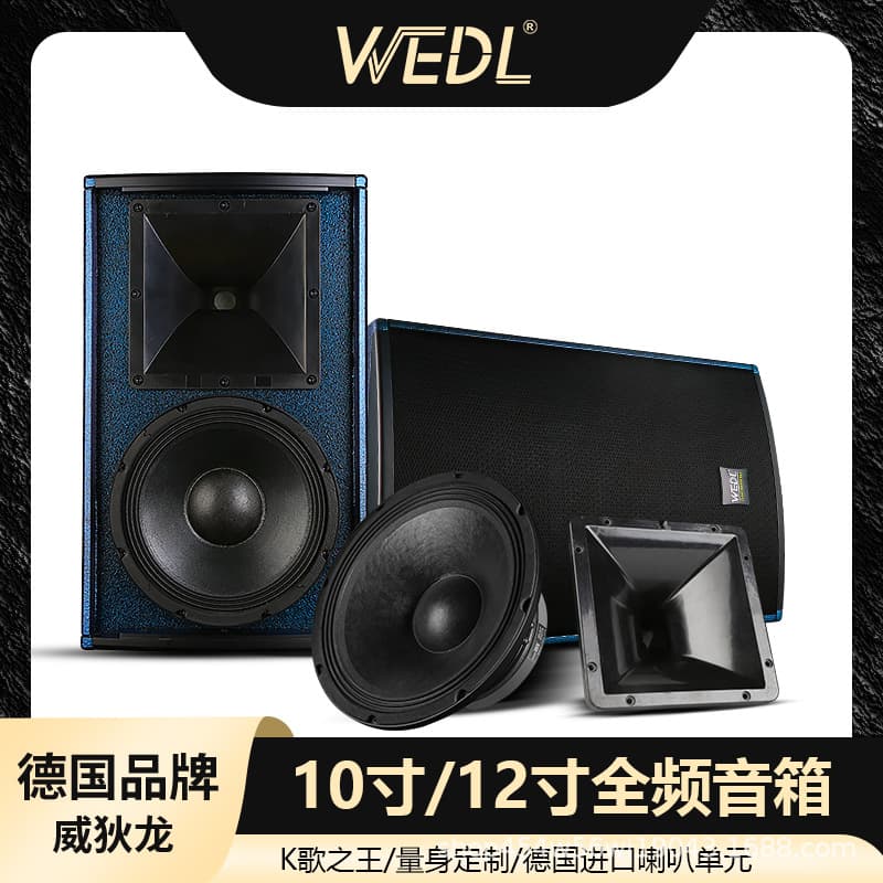German WEDL Professional 10-inch and 12-inch Speakers for Home KTV Singing Entertainment, Private Rooms, DJ Rooms, High-Power Sound Systems