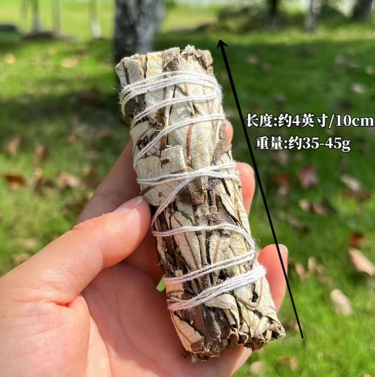 Crystal Bracelet Decoration Purification Smudging Burner White Sage Peruvian Palo Santo Cedar North American Holy Seat Cement Incense Burner