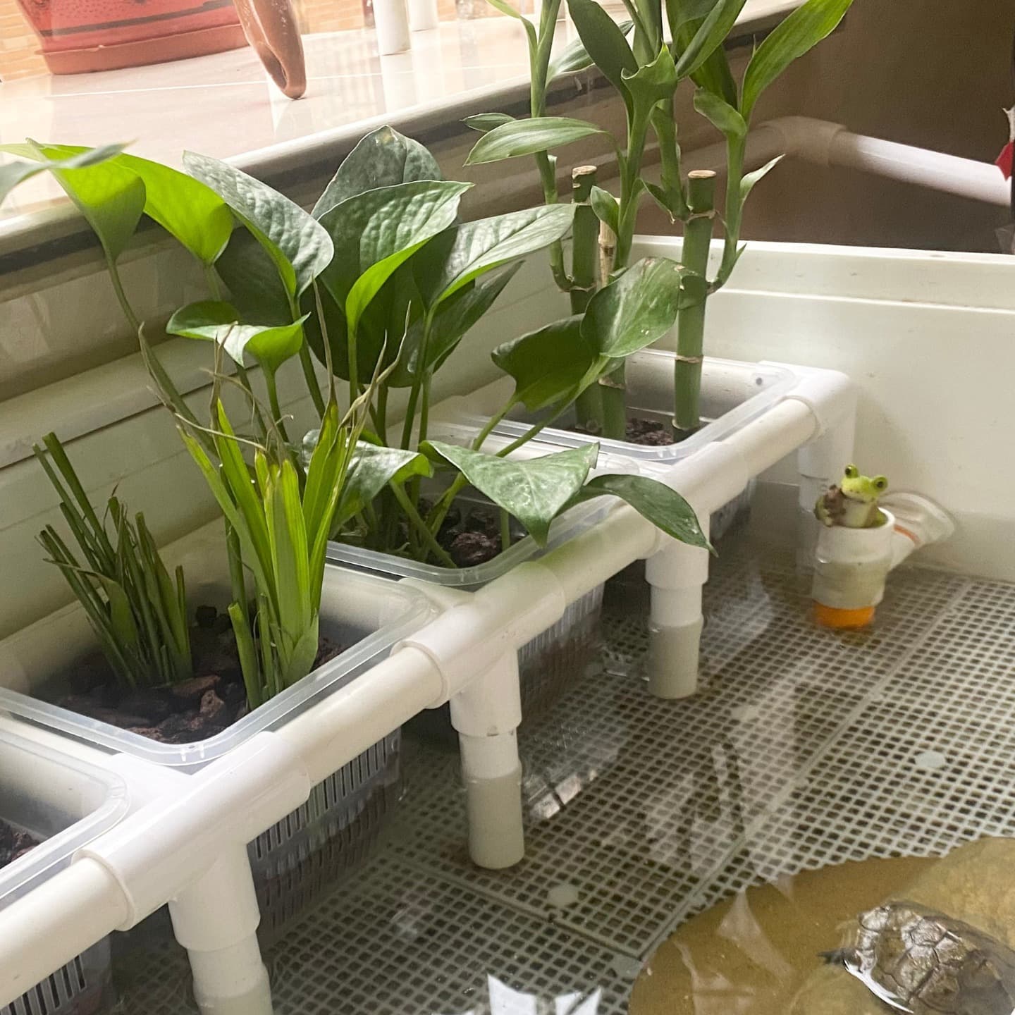 Tank simple hydroponic green plant landscaping planting basket bracket turtle tank fixed fish tank planting support shelf others