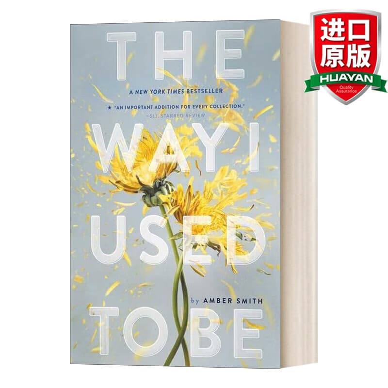 The Way I Used to Be - English Version