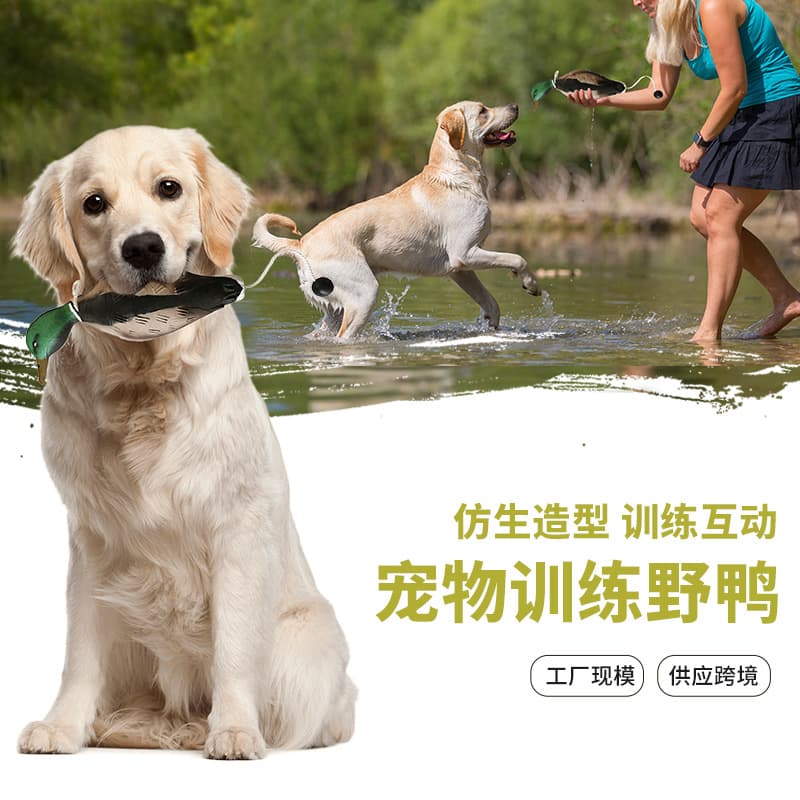 Private Model Dog Training and Pet Toys: Train Hounds to Retrieve Fake Poultry, Bite-Resistant Toys for Cross-Border E-Commerce