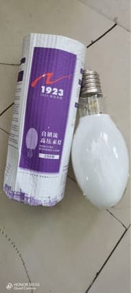 Yaming 1923 Self-Ballasted Fluorescent High-Pressure Mercury Lamp 250W