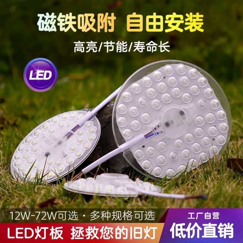 [Ba+Bai Bu] Genuine Round Ceiling Light Compatible with C13