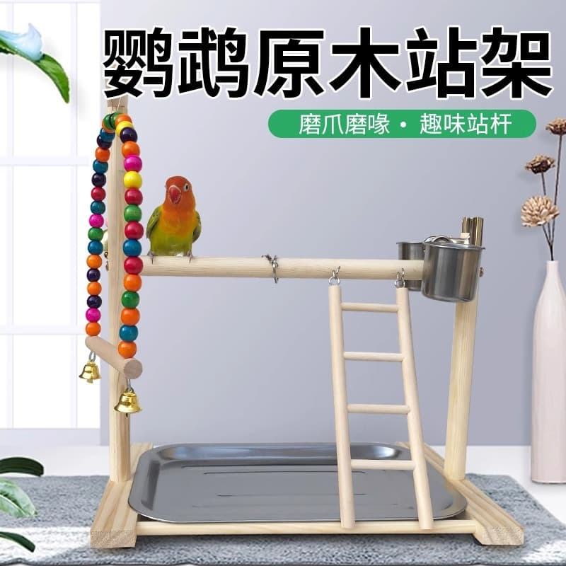 Parrot Perch Stand for Budgies, Cockatiels, Lovebirds, with Grinding Perch, Ladder, Interactive Playground, Colorful Beads, Swing, Bird Stand
