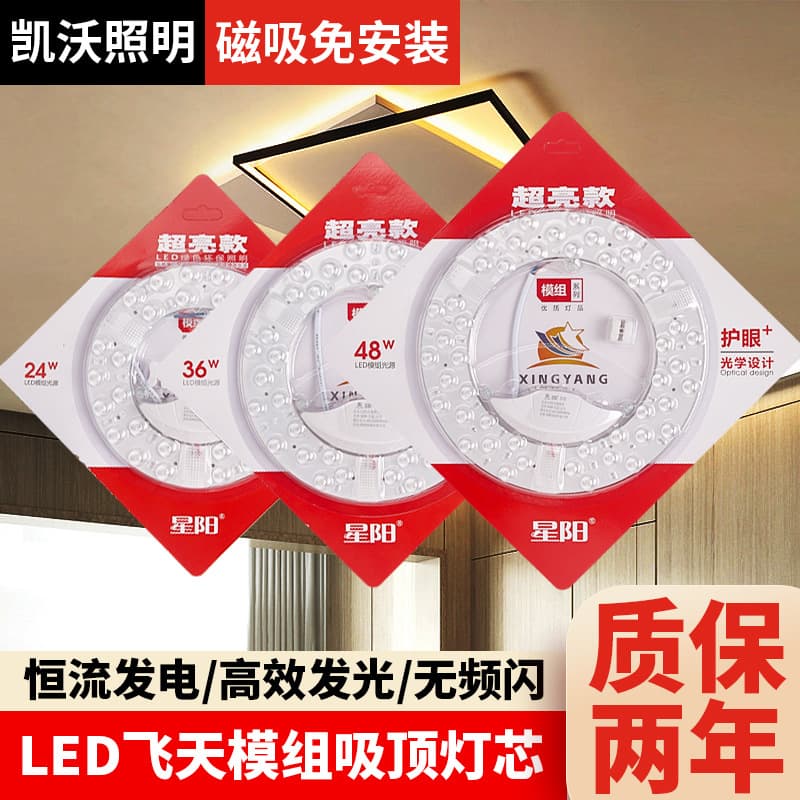 LED Ceiling Light Core Replacement Magnetic Light Source Module High Brightness Upgrade LED Light Panel