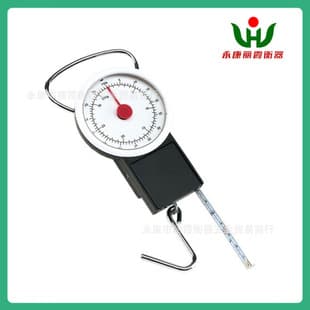 Amazon Temu Cross-border Drop Shipping Spring Hook Scale 32/35kg Luggage Scale Gift Scale Mechanical Handheld Scale