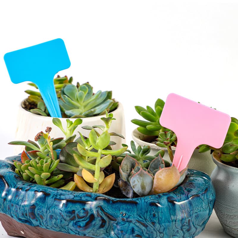 Cross-border Garden Plant Green Plant Label Tag Garden Home Creative Bonsai Succulent Writable Nameplate T-shaped Tag
