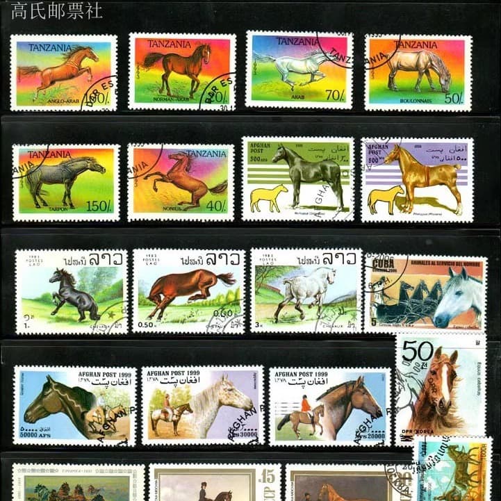 World Famous Horses, Racehorses, War Horses Stamp Collection - 50 Unique Stamps, 50 Varieties of Horse Stamps, Overseas Original Packaging, Unopened