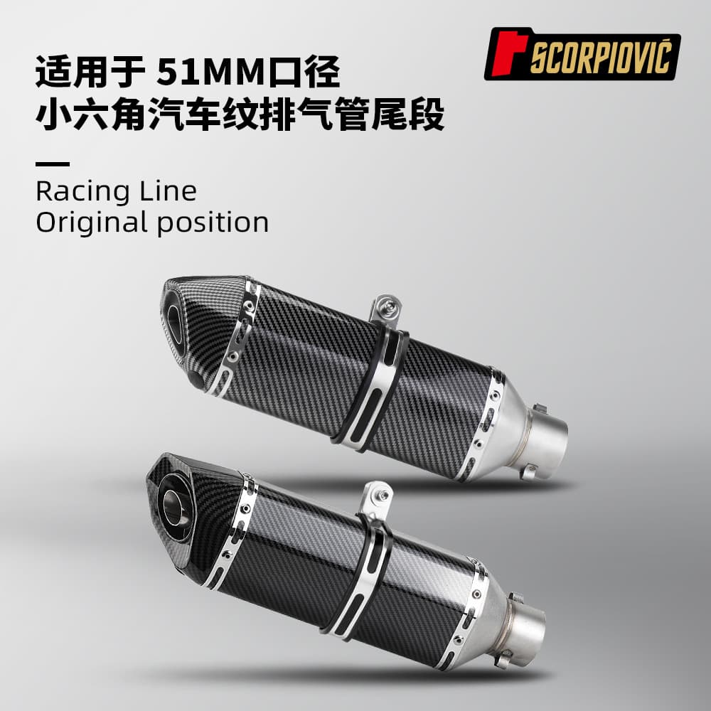 Motorcycle Modification Full Imitation Carbon Fiber Small Hexagon 51MM Universal Exhaust Pipe Tail Section 450SR 321R