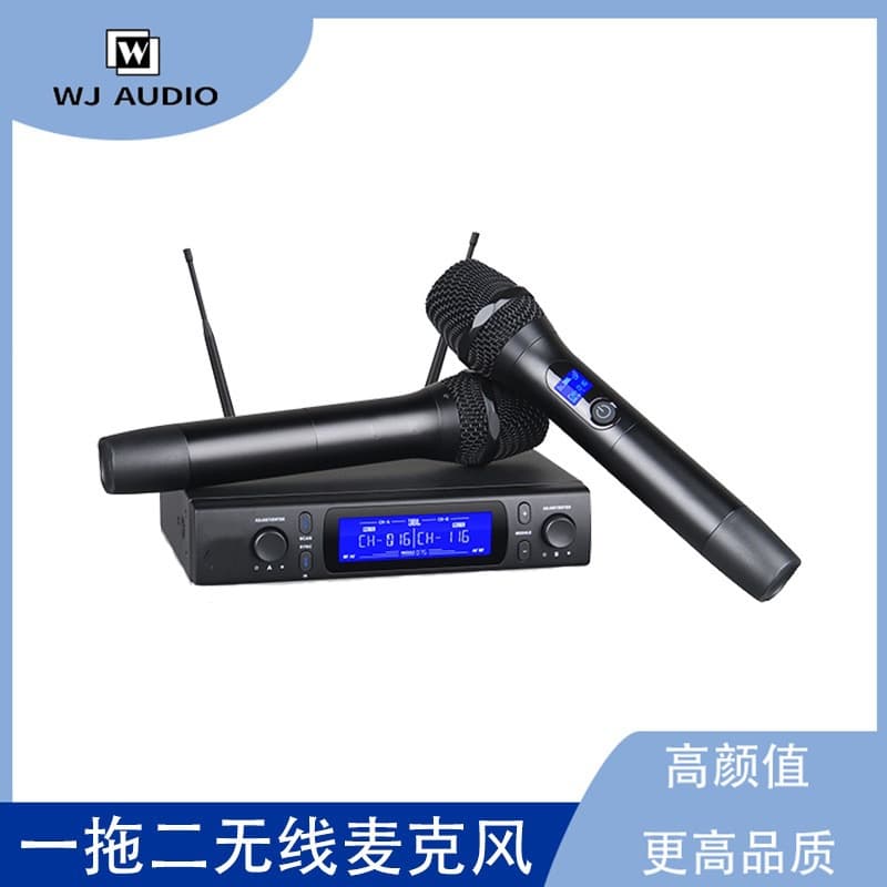 VM300 Wireless Microphone (1-to-2) - Professional Microphone for Stage, Weddings, Conferences, Home Use, KTV.