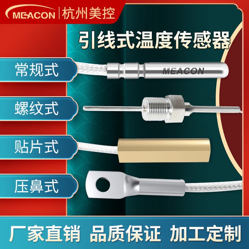 Temperature Sensor PT100/PT1000 Direct Lead Temperature Probe Temperature Sensor