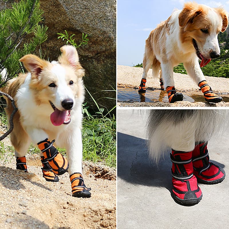 Dog shoes, four-season pet rain boots, dog boots, Teddy Golden Retriever, medium and large dogs, non-slip, soft sole, anti-falling, waterproof shoes