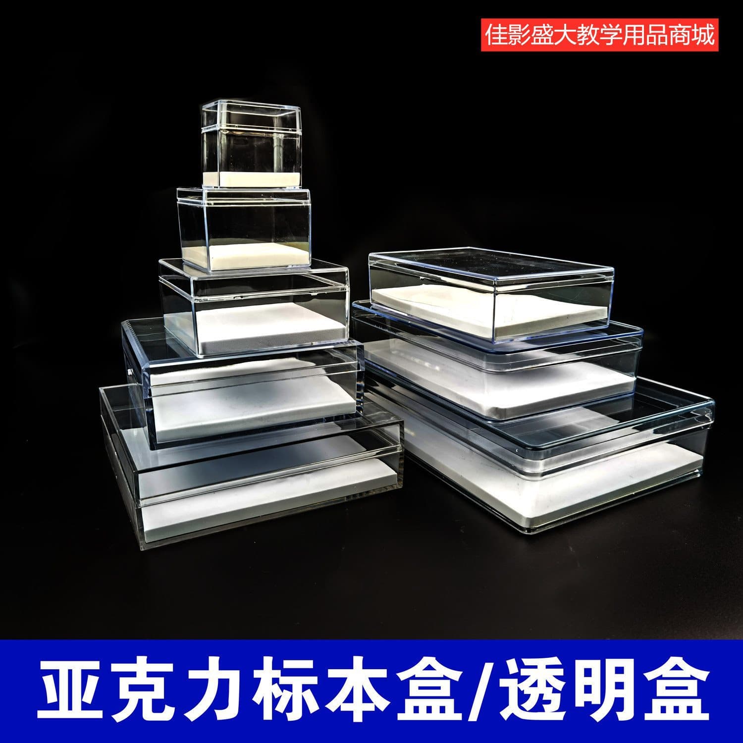 Insect and Butterfly Specimen Box, Plant, Mineral, Rock Biological Experiment Thickened Acrylic Transparent Crystal Display Case