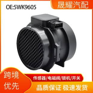 Car Sensor 5WK9605 Compatible with 2003-2006 BMW E46 E39 E38 E36 Air Flow