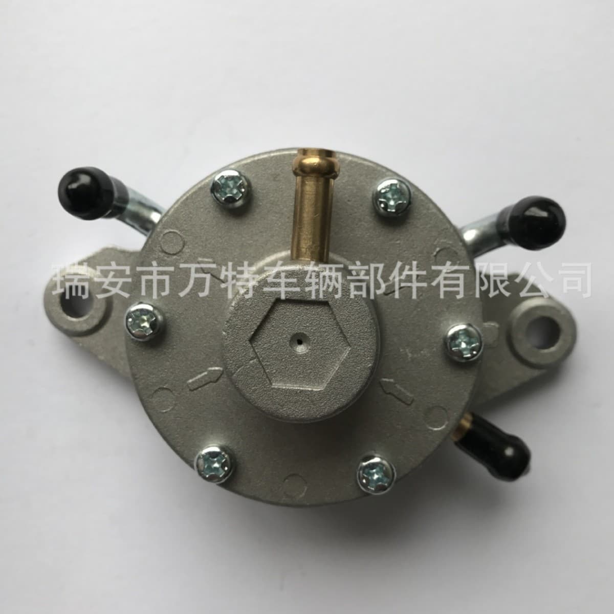 Factory Supply Fuel Pump for Snowmobile 3083460 ATV, GOLF CART DF52-176 DF52