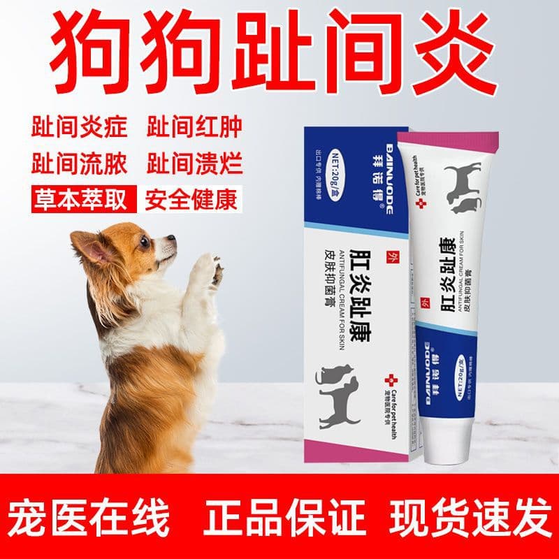 Special topical medication for canine interdigital dermatitis, toe inflammation, fungal infection, toe rot, redness, swelling, ulceration, antibacterial and antipruritic effects.