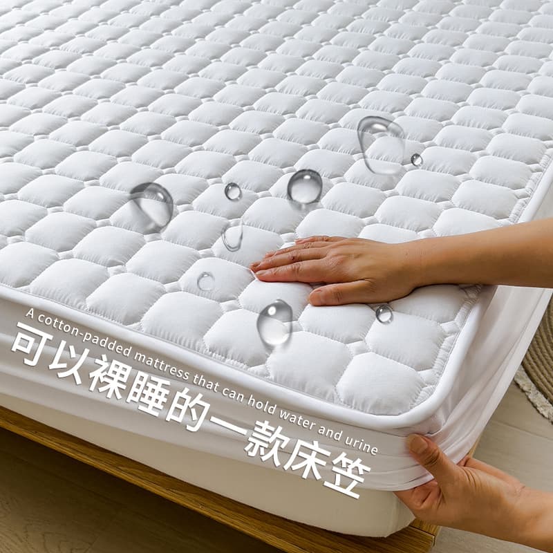 Quilted Fitted Sheet Four Seasons Mattress Protector Anti-Slip Brushed Skin-Friendly Dormitory Fitted Sheet 3-Piece Set
