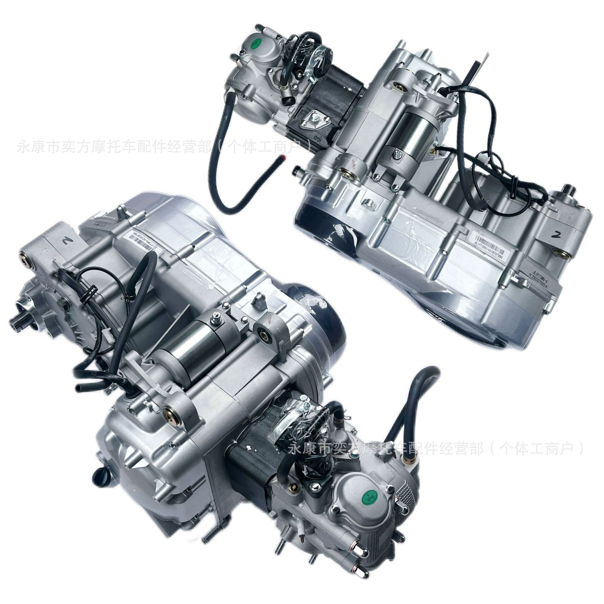 Gy6 Jinlang 1P73Mn Engine 300Cc Built-In Reverse Chain Drive Water-Cooled Engine