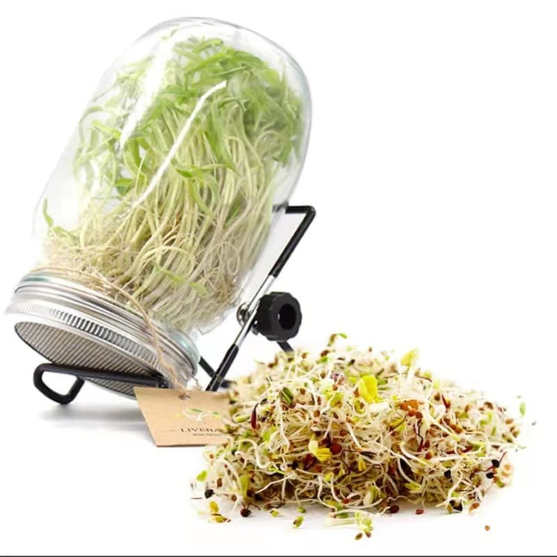 Cross-border sourcing 32oz wide-mouth stainless steel germinating glass Mason jar seed germinator with filter screen and holder