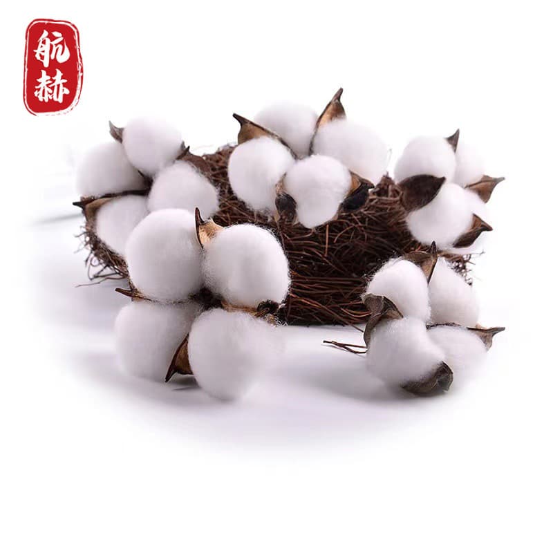 Cross-border Wholesale Artificial Cotton Flowers Natural Dried Wedding Home Decor Photo Prop Single Cotton Blooms
