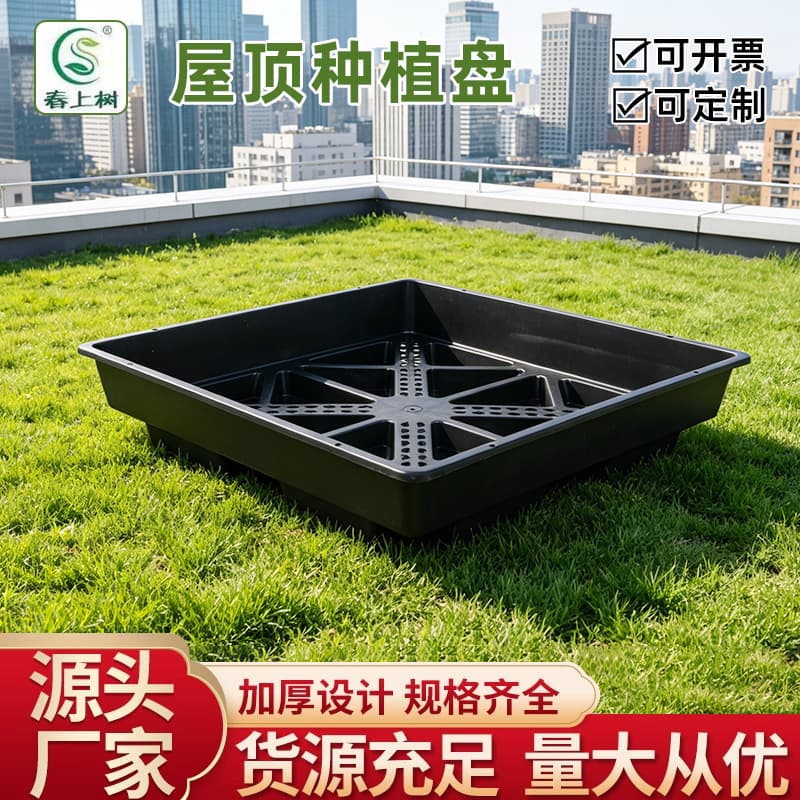 Rooftop Greening Planting Tray Square Plastic Sedum Roof Planting Module Water Storage Drainage Planting Pot for Export