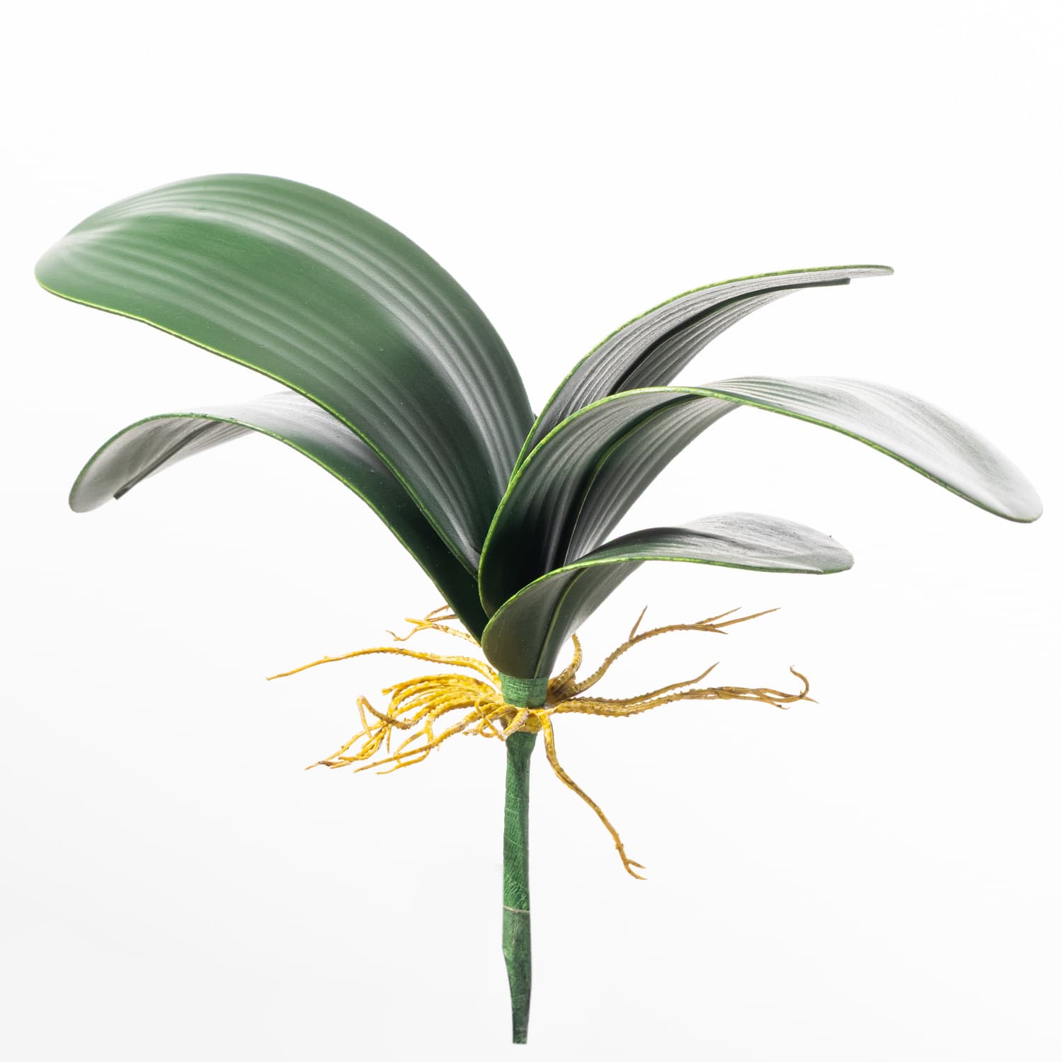 Orchid Leaves, Sword Orchid Leaves, Cymbidium Orchid Leaves, Phalaenopsis Orchid Leaves, Artificial Orchid Leaves for Flower Arrangements, Cross-Border Fake Flowers