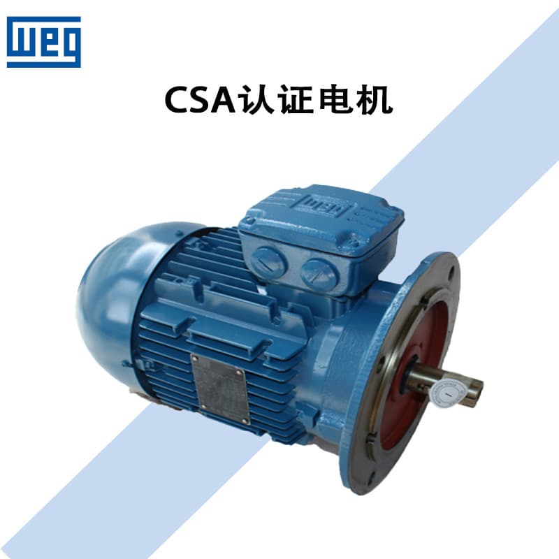 WEG W21 Aluminum / Cast Iron Three-Phase Asynchronous AC Motor / High Efficiency Low Voltage IEC Motor