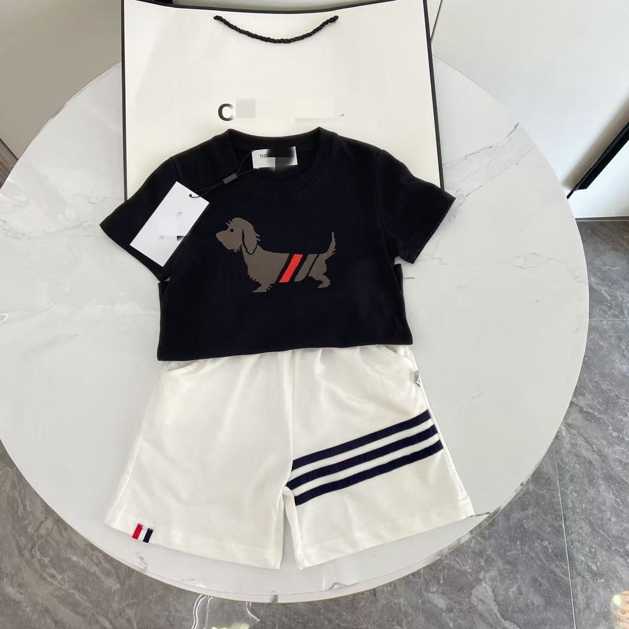 Preppy Style Boys Dog Print Trendy Short Sleeve T-Shirt 2025 Summer New Boys Short Sleeve Top + Shorts Set