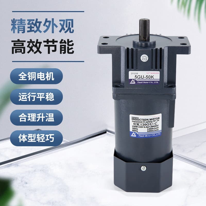 Tianli Gear Reduction Motor Small Fixed Speed Motor 5IK6IK180W AC Variable Speed Motor 220V Manufacturer