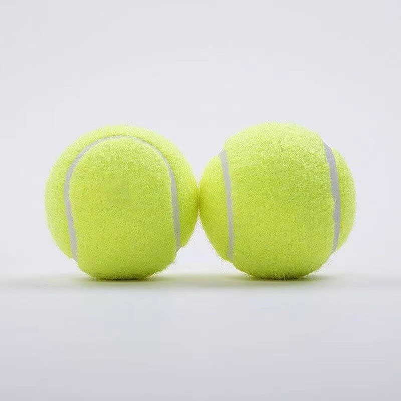 Dog Toy Pet Squeaky Toy Durable Chew Toy for Puppies Teeth Cleaning Training TPR Toy Wholesale
